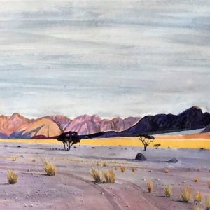 namib desert landscape colour