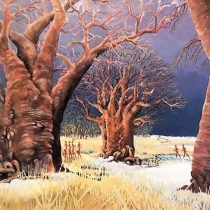 night fall bushman san baobab