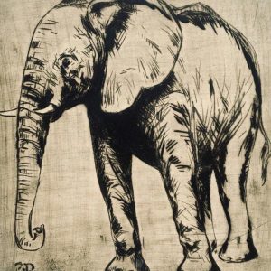 p_h_elephant_