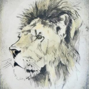 p_h_lion-Portrait
