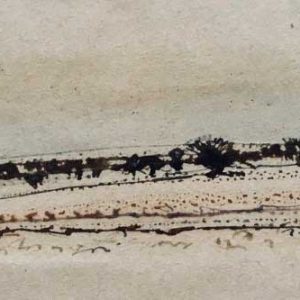 p_h_namib-desert