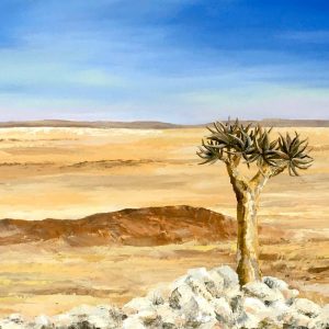 quiver tree namib desert landscape
