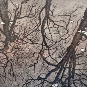 reflections semi abstract etching