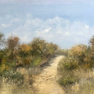 road path landscape