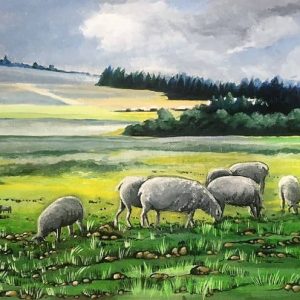 sheeps green