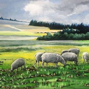 sheeps green