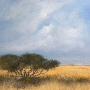 shepherds tree landscape