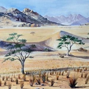 southern namibia oryx landscape desert