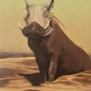warthog wildlife