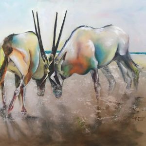 wildlife oryx etosha colour